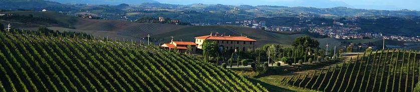 vineyards in barolo - wine education